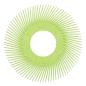 Preview: Scotch-Brite™ Precision Radial Bristle Brush, PN-RB, 50+, 152,4 mm (6 Zoll), Typ A, ohne Adapter