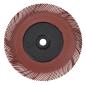 Preview: Scotch-Brite™ Radial Bristle Brush BB-ZB mit Kunststoff-Flansch, rot, 193,5 mm x 25,4 mm, P220, Typ C