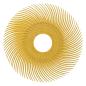 Preview: Scotch-Brite™ Radial Bristle Brush RB-ZB, gelb, 50,8 mm, 9,5 mm, P80, Typ C