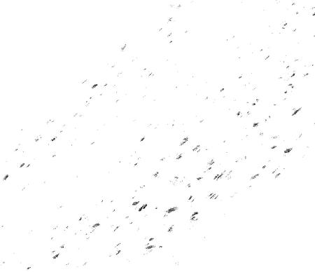 3M™ MicroPES™ 2F Series Flat Sheet Membrane, 508 mm Roll /Variable Pack