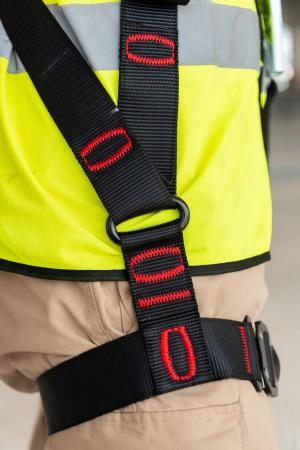 Preview: 3M™ Protecta® E200 Standard-Auffanggurt mit geraden Beinschlaufen, schwarz, S, 1161639