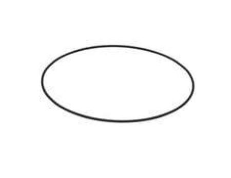 3M™ Ersatzteil, O Ring, 450 NSLP N BR, S0000934