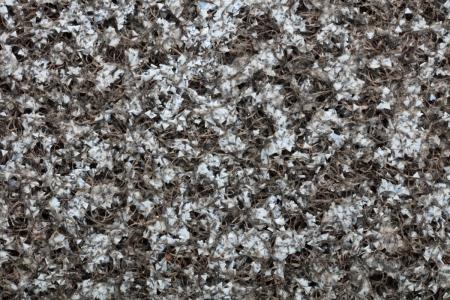 Preview: Scotch-Brite™ Laser Braze Finishing Wheel, 203 mm x 3,5 mm x 25,4 mm, FIN