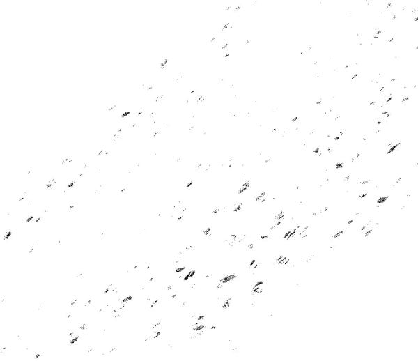 3M™ MicroPES™ 2F Series Flat Sheet Membrane, 254 mm Roll /Variable Pack