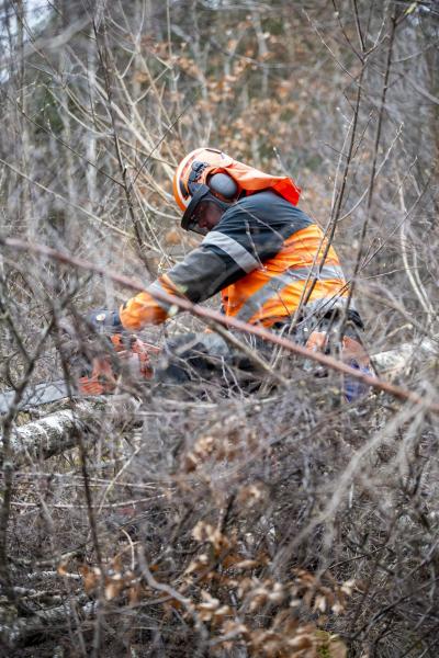 3M™ SecureFit™ X5500 Kombination für die Forstwirtschaft, X5500 Schutzhelm , X4 Kapselgehörschutz, FH1 und 5J Netzvisier, X5507VX4FH15J-CE