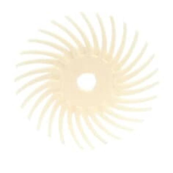 Scotch-Brite™ SR Radial Bristle Disc SS-ZB, 75 mm x 9,53 mm