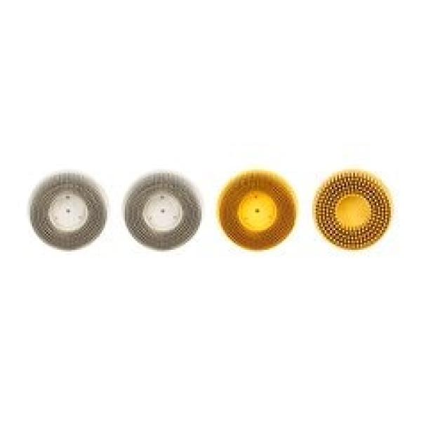 Scotch-Brite™ Roloc™ Bristle Disc RD-ZB, grün, 50,8 mm, P50 (W)
