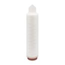 3M™ LifeASSURE™ 020SP Series Filter Capsule, PSZ020J01AA01, 1/Case