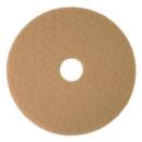 3M™ Scotch-Brite™ Ultra High Speed Pad, Beige, 430 mm, 5 Stück / Karton