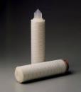 3M™ LifeASSURE™ PFS Series Filter Capsule, PFS020J25AB01, 2.5 in, 0.2 µ, 1/Case