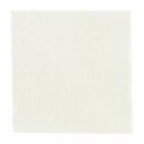 3M™ Tegaderm™ Alginate Ag, 90310, 5 cm x 5 cm, 10 / Packung