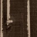 3M™ DI-NOC™ Dekorfolie FW-1764 Fine Wood, 1220 mm x 50 m