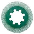 Scotch-Brite™ Radial Bristle Brush BB-ZB Einzelsegment, grün, 203 mm, P50, Typ S (Nachfüllpackung)