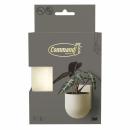 Command™ Dekor Pflanzengefäß für die Wand aus Metall DCR03BE-EU, beige,1 Gefäß + 8 Strips/Pack