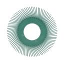 Scotch-Brite™ Radial Bristle Brush BB-ZB Einzelsegment, grün, 152,4 mm, P50, Typ A (Nachfüllpackung)