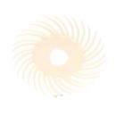 Scotch-Brite™ SR Radial Bristle Disc SS-ZB, 50 mm x 9,53 mm